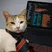 Omkar’s avatar: Radha, a calico cat in a striped tie