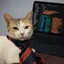 Radha, Omkar’s calico cat, in a striped tie